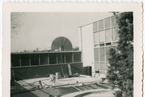 Landscaping under construction (ddr-densho-377-2146)