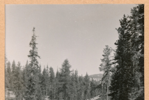 ravine (ddr-densho-468-322)