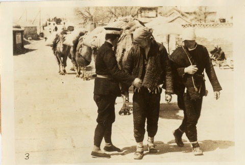 Men leading pack camels (ddr-njpa-6-107)
