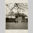 People walking thru a gate with cherry blossoms in the foreground (ddr-njpa-8-30)