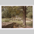 Pond (ddr-densho-377-2045)