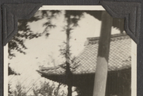 An apprentice Buddhist priest (ddr-densho-432-179)