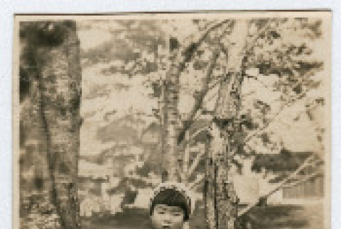 Japanese American child (ddr-densho-26-204)