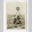 Nisei man in a sugar beet field (ddr-csujad-38-57)