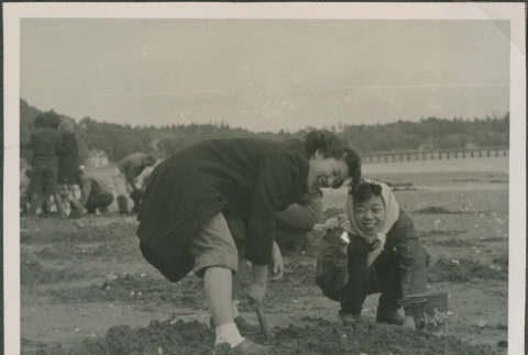 Two women digging clams (ddr-densho-201-893)