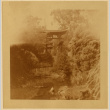 View of a garden (ddr-densho-542-33)
