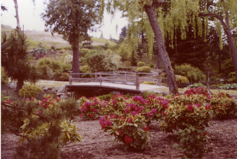 Heart Bridge with rhododendrons around it (ddr-densho-354-163)