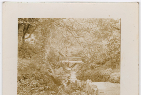 Bridge (ddr-densho-377-2258)
