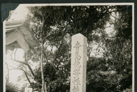 Man and woman pose in front of Japanese monument (ddr-densho-359-1029)