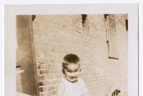 Photo of a child sitting in front of a brick wall (ddr-densho-483-742)