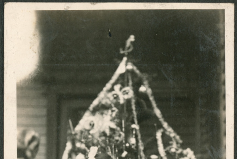 Girl with dolls standing in front of Christmas tree (ddr-densho-293-65)