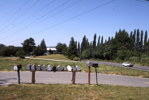 Mail box panorama (#1) (ddr-densho-354-1330)