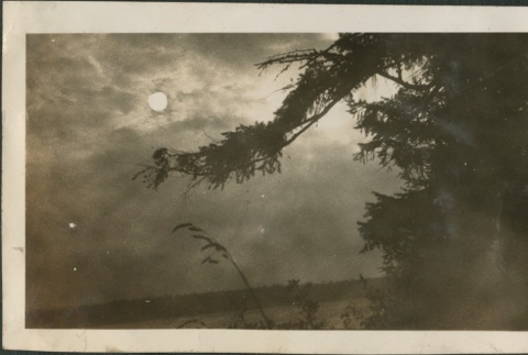 View of the moon over the water (ddr-densho-321-572)