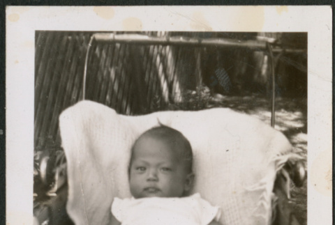 Baby in stroller (ddr-densho-316-383)