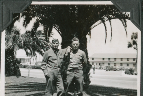 Two men in uniform by palm tree (ddr-ajah-2-137)