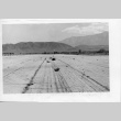 [Photograph of Manzanar] (ddr-csujad-29-190)