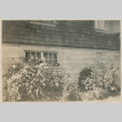 House and plants (ddr-densho-357-37)