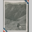 Three men on horseback (ddr-densho-201-945)