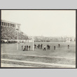 Football game at Harvard University Stadium (ddr-densho-355-707)