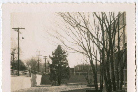 Rock garden with trees (ddr-densho-377-2154)