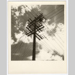 View of power lines (ddr-densho-542-856)