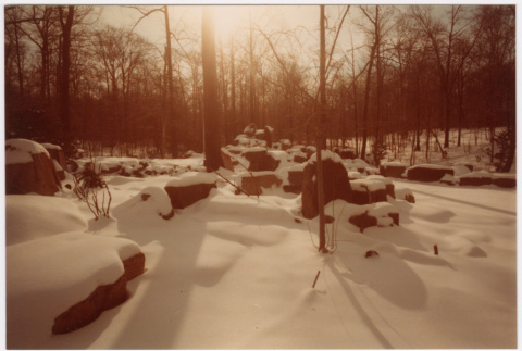 Snowy rocks in forest (ddr-densho-377-2585)