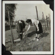 A woman on a farm in Loomis (ddr-densho-300-389)