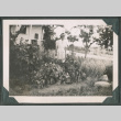 Photo of a woman in a garden (ddr-densho-483-893)
