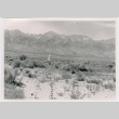 Manzanar internee graveyard and marker (ddr-densho-345-86)