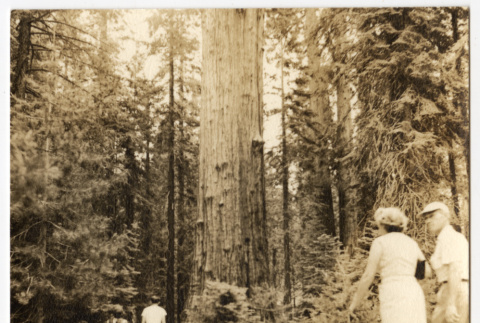 People walking on a path (ddr-densho-542-834)