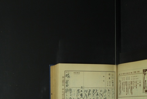 Page 239 (ddr-densho-255-5-master-bdb635d0fa)
