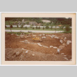 Rock waterfall and pond under construction (ddr-densho-377-2196)