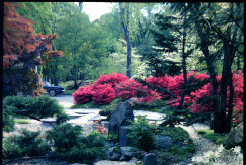 Water feature and landscaping (ddr-densho-377-1483)