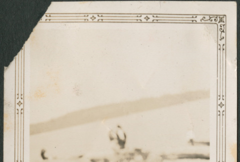 Blurry photo of beach (ddr-densho-316-193)