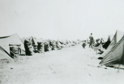Rows of tents (ddr-densho-1007-498)