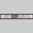 Negative film strip for Farewell to Manzanar scene stills (ddr-densho-317-55)