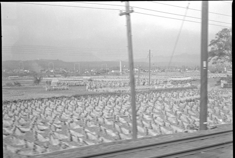 Photo of rice fields, taken from train (ddr-densho-426-299)