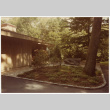 Side yard and parking (ddr-densho-377-1831)