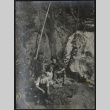 Two men and two women hiking (ddr-densho-355-668)