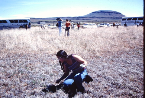 A woman examining shells at Tule Lake (ddr-densho-294-51)