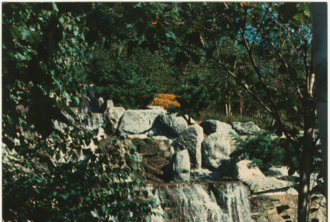 Waterfall and pond at the Schulman project. (ddr-densho-377-193)