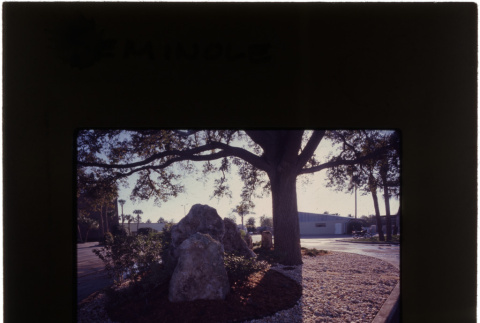 Rock garden at the Seminole project (ddr-densho-377-755)