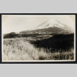 View of Mount Fuji from a grassy field. (ddr-densho-404-141)