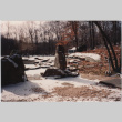 Garden in snow at the Kaye project (ddr-densho-377-69)