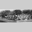 Panorama of a garden with a Kubota Gardening Company sign, featuring a wooden bridge (ddr-densho-354-124)