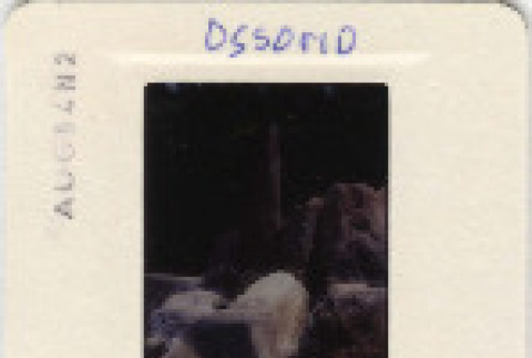 Front and back (ddr-densho-377-500-mezzanine-c461650827)