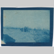 Group of men working in field (ddr-densho-329-1382)
