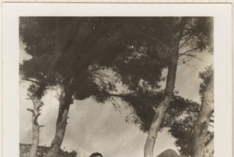 Man laying down by trees (ddr-densho-466-304)