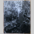 Downed plane (ddr-densho-1007-669)