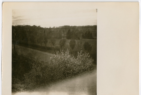 Shrubs (ddr-densho-377-2263)